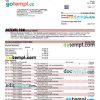 editable template, Capital One bank corporate account statement Word and PDF template