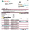 editable template, Bank of China enterprise statement Word and PDF template