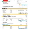 editable template, WELLS FARGO firm bank statement Word and PDF template