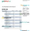 editable template, CITIBANK business bank statement Word and PDF template