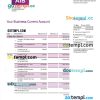 editable template, ALLIED Irish Banks (AIB) enterprise statement Word and PDF template