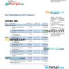 editable template, Alpha Bank company checking account statement Word and PDF template