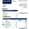 editable template, BANCO de Chile organization statement Word and PDF template