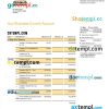 editable template, BANK Pasargad business statement Word and PDF template