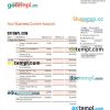 editable template, BANK of Baroda company checking account statement Word and PDF template