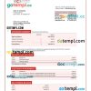 editable template, BANK of Changsha enterprise statement Word and PDF template