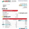 editable template, BANK of Chongqing enterprise statement Word and PDF template