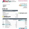 editable template, BELFIUS Bank enterprise statement Word and PDF template