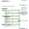 editable template, Catday United Bank enterprise account statement Word and PDF template