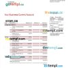editable template, CHONGQING Rural Commercial Bank firm account statement Word and PDF template