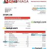 editable template, Cimb Niaga Bank business checking account statement Word and PDF template