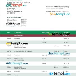 editable template, DUBAI Islamic Bank enterprise statement Word and PDF template