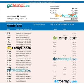 editable template, DZ Bank organization statement Word and PDF template