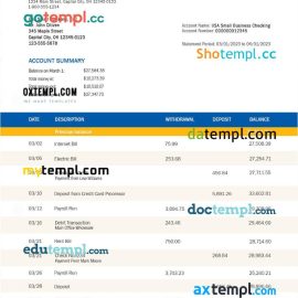 editable template, Fibi Bank enterprise account statement Word and PDF template