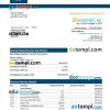 editable template, First Bank of Nigeria firm account statement Word and PDF template