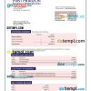 editable template, FIRST Horizon Bank company checking account statement Word and PDF template