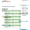editable template, GARANTI BBVA Bank enterprise statement Word and PDF template