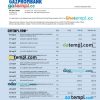 editable template, Gazprombank firm account statement Word and PDF template