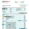 editable template, HANA Financial Group firm bank statement Word and PDF template