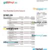 editable template, INDUSIND Bank enterprise statement Word and PDF template