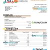 editable template, ING Groep bank company account statement Word and PDF template