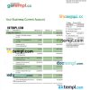 editable template, Investors Bank business checking account statement Word and PDF template