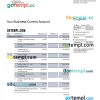 editable template, LAZARD Bank business statement Word and PDF template