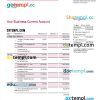 editable template, MILLENIUM Bank enterprise statement Word and PDF template