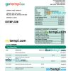 editable template, M&T Bank company statement Word and PDF template