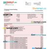 editable template, MUFG Bank business checking account statement Word and PDF template