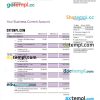 editable template, NATXIS Bank corporate checking account statement Word and PDF template