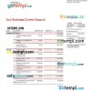 editable template, NOMURA Bank business statement Word and PDF template