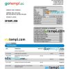 editable template, PINNACLE Financial Bank firm account statement Word and PDF template