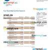 editable template, QATAR Islamic Bank business statement Word and PDF template