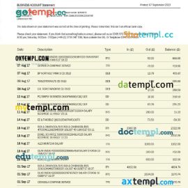 editable template, RAIFFEISEN Bank International company statement Word and PDF template