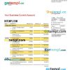 editable template, Rakbank enterprise account statement Word and PDF template