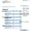 editable template, RCBC Bank organization account statement Word and PDF template