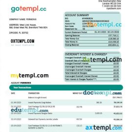 editable template, RIYAD Bank enterprise statement Word and PDF template