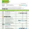 editable template, SEB Bank company statement Word and PDF template