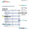 editable template, Sella Bank business checking account statement Word and PDF template