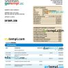 editable template, SHINHAN Financial Group enterprise statement Word and PDF template