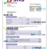 editable template, SNS Bank enterprise account statement Word and PDF template