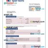 editable template, Spar Nord Bank company checking account statement Word and PDF template