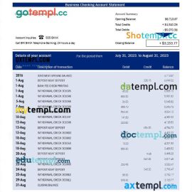 editable template, STANDARD Bank organization statement Word and PDF template