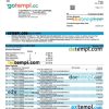 editable template, STATE BANK OF INDIA company account statement Word and PDF template