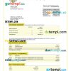 editable template, TINKOFF Bank firm statement Word and PDF template