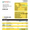 editable template, Vakifbank company account statement Word and PDF template