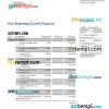 editable template, Yapi Kredi Bank organization account statement Word and PDF template