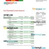 editable template, MBank company statement Word and PDF template