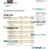 editable template, Piraeus Bank Business statement Word and PDF template